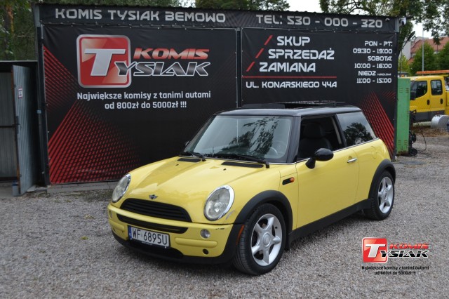 mini