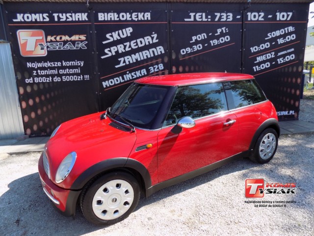 mini